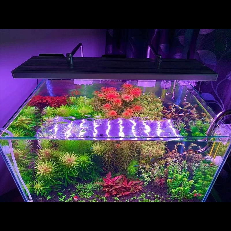 Lシリーズ SE RGB+UVA – WEEK AQUA 