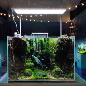 L600 L900 L1200 RGB TH – WEEK AQUA