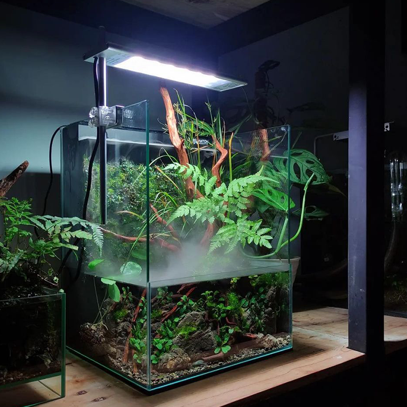 S SE RGB+UVA – WEEK AQUA 