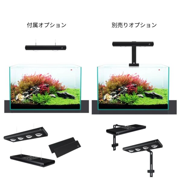 Z400 RGB TH - 画像 (15)