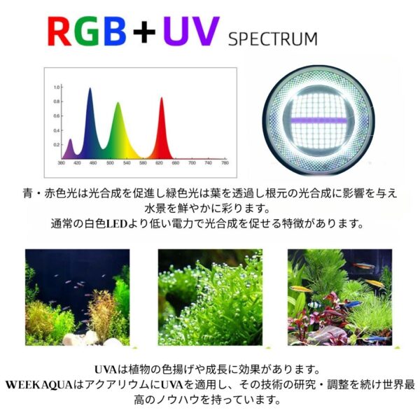 T90 RGB TH - 画像 (7)