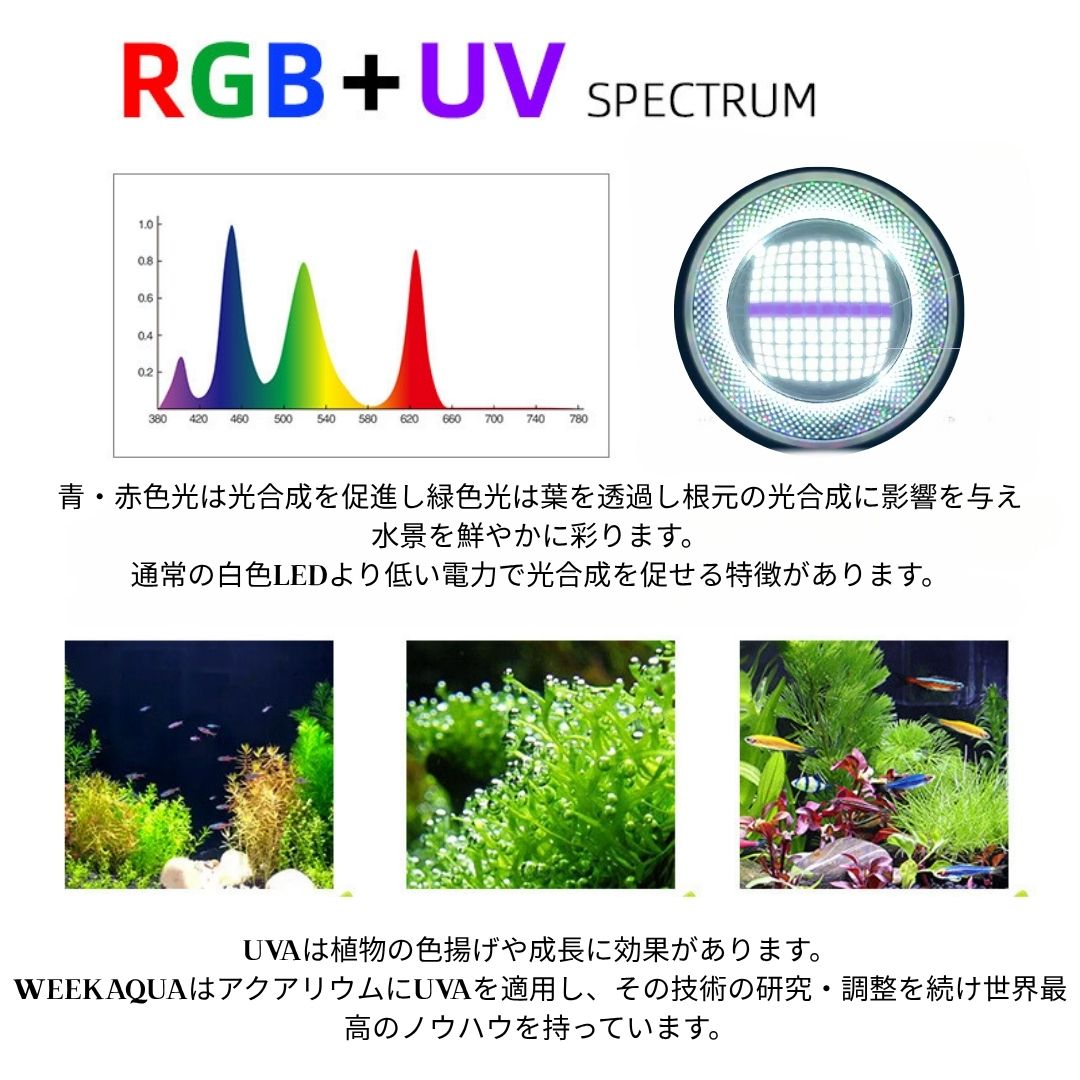 高評価アイテム T90 RGB TH – WEEK AQUA ライト・照明器具