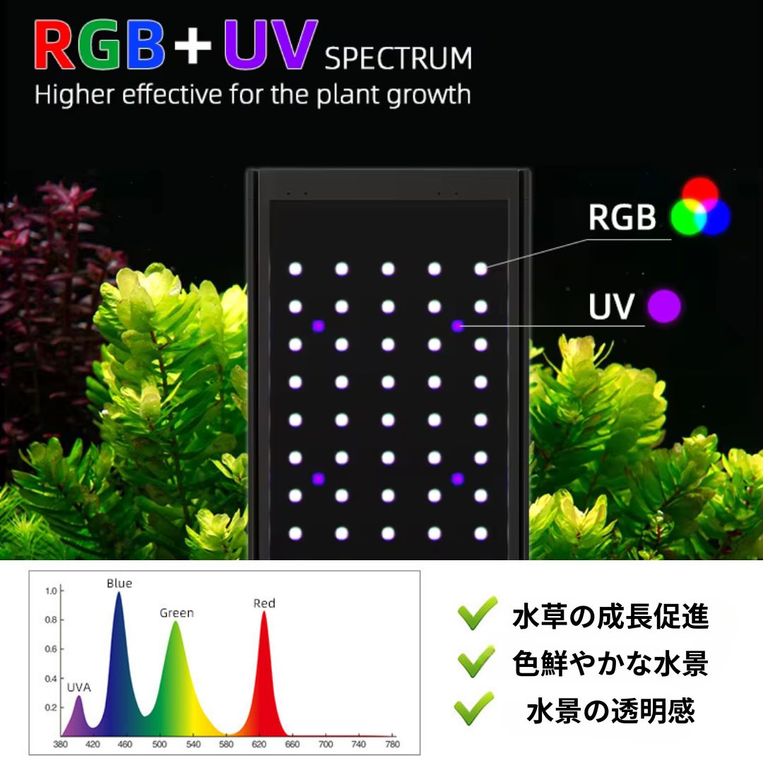 Pシリーズ RGB TH – WEEK AQUA