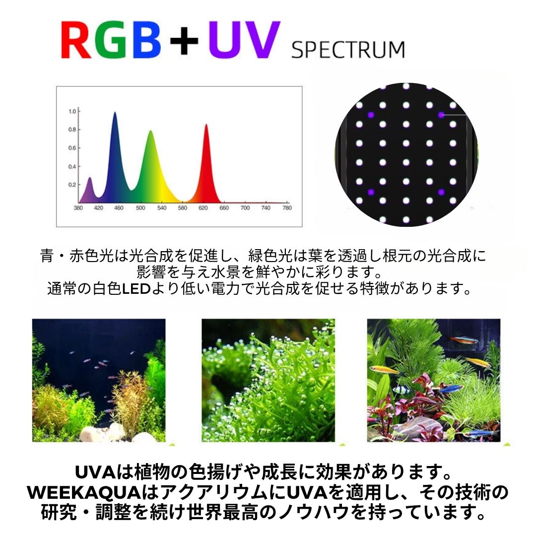 Pシリーズ RGB TH – WEEK AQUA