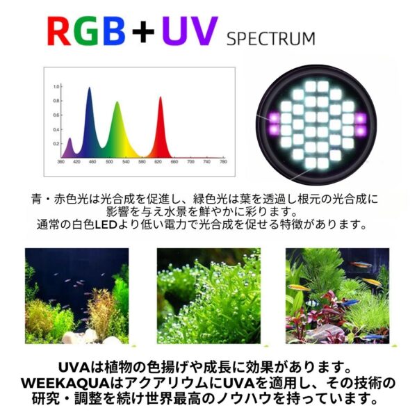 Z400 RGB TH - 画像 (7)
