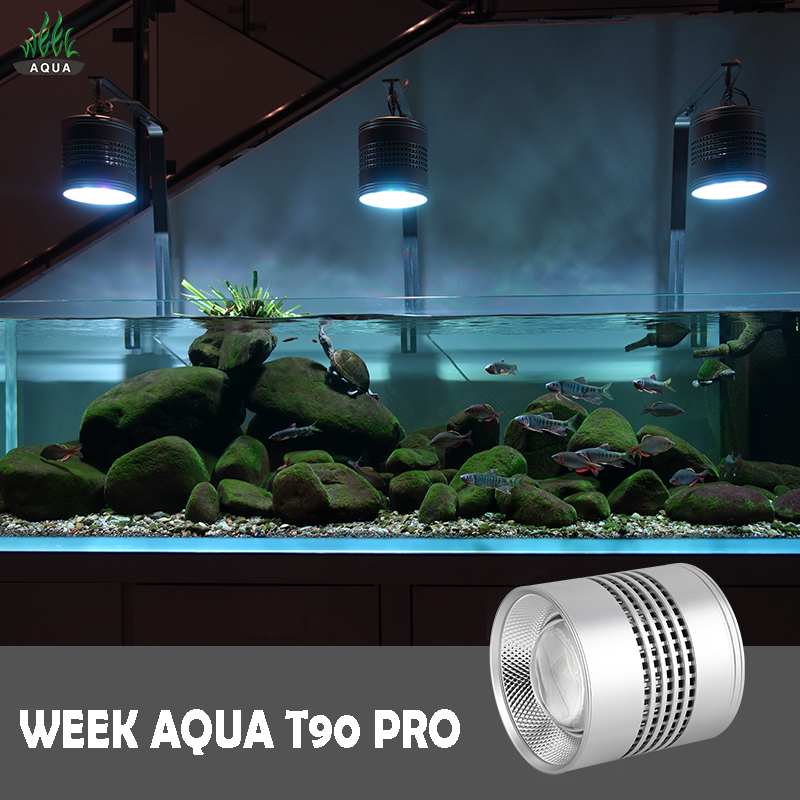 weekaqua T90 PRO90W