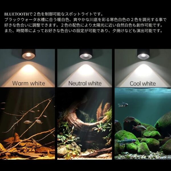 MINI 7 SPOT LIGHT - 画像 (2)