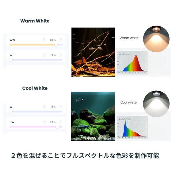 MINI 7 SPOT LIGHT - 画像 (3)
