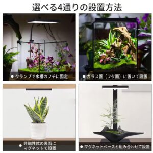 MINI 9 RGB ARM MAG - 画像 (7)