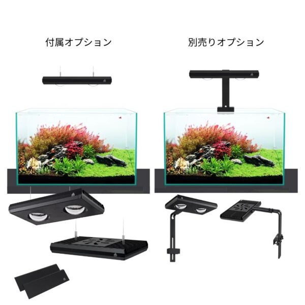 Z250 RGB TH - 画像 (13)