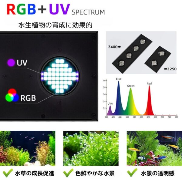Z400 RGB TH - 画像 (6)
