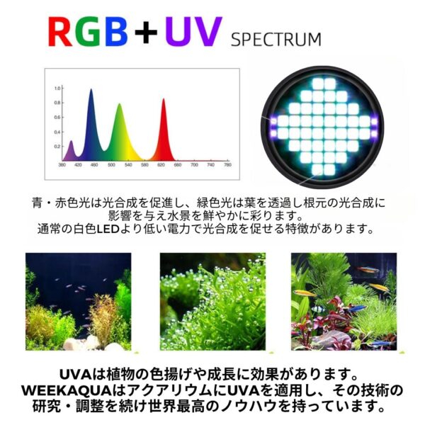 Z250 RGB TH - 画像 (5)