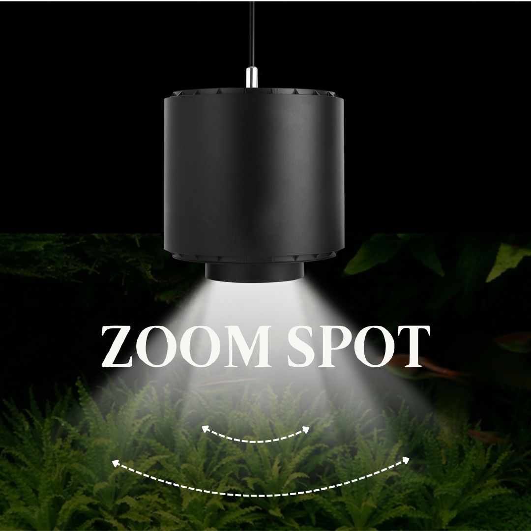 ZOOM SPOT PRO RGB - 画像 (2)