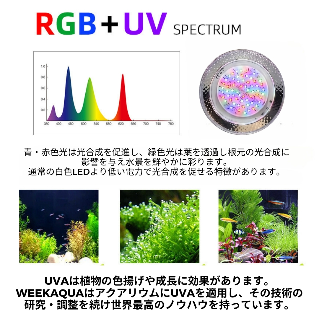 T90 RGB MINI SPOT - 画像 (15)