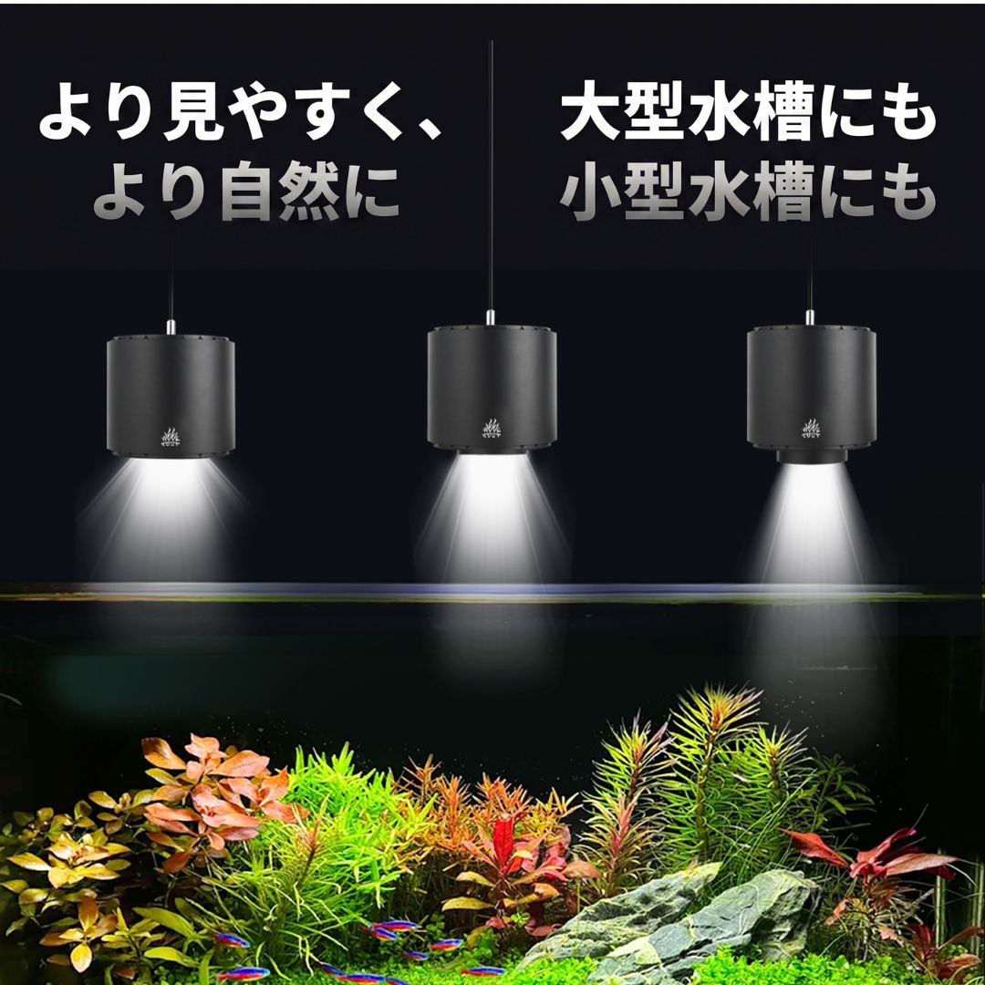 ZOOM SPOT PRO RGB - 画像 (12)